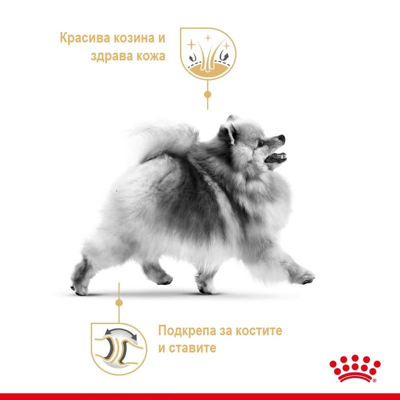 Royal Canin Pomeranian Adult - пауч за кучета порода Померан