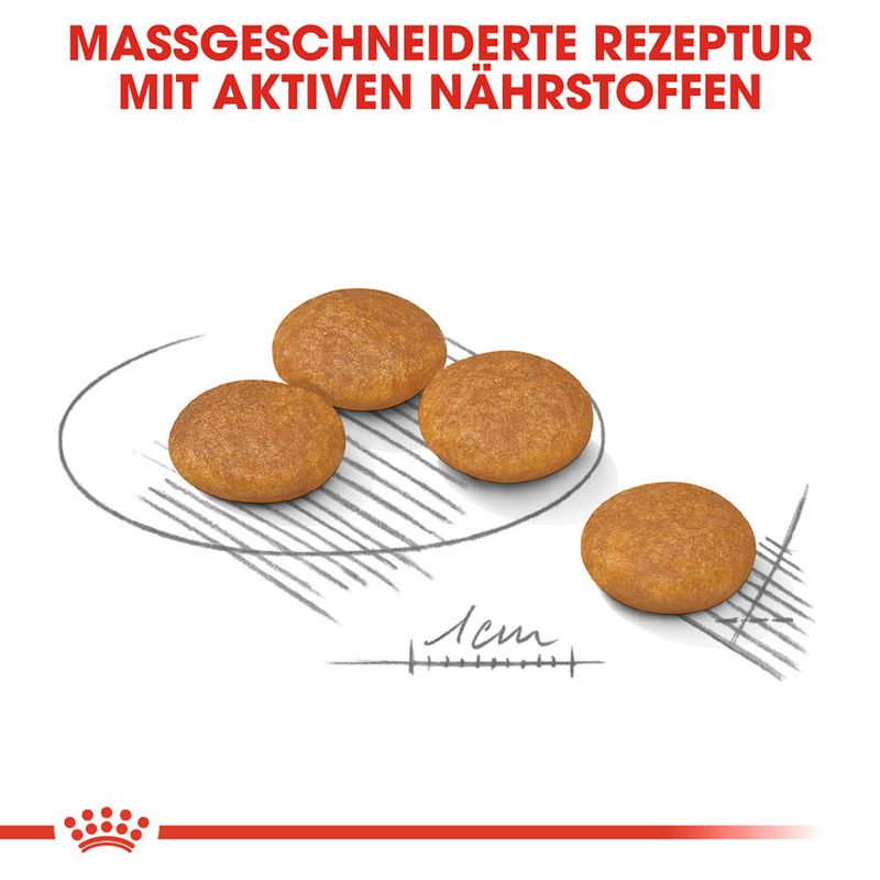 Royal Canin Mini Dermacomfort - храна за кучета със склонност към кожни раздразнения, дребни породи (до 10 кг)