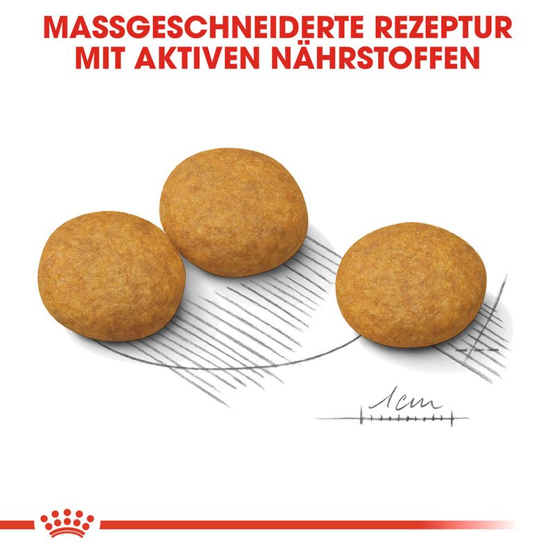 Royal Canin Medium Dermacomfort - храна за кучета със склонност към кожни раздразнения, средни породи (11-25 кг)