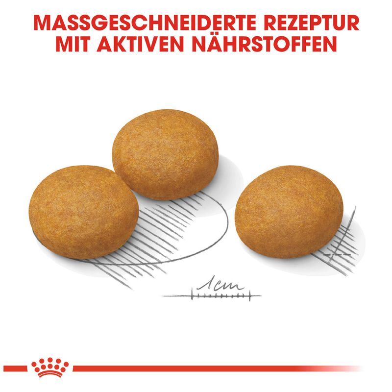 Royal Canin Maxi Dermacomfort - храна за кучета със склонност към кожни раздразнения, едри породи (26-44 кг)