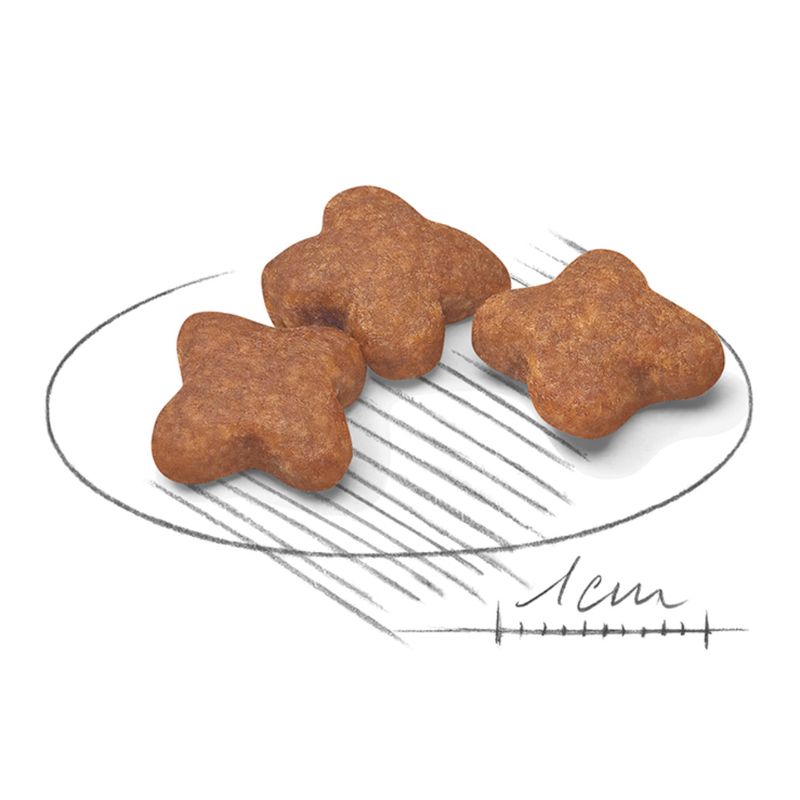 Royal Canin Mini Adult 8+ - храна за застаряващи кучета, дребни породи (до 10 кг)