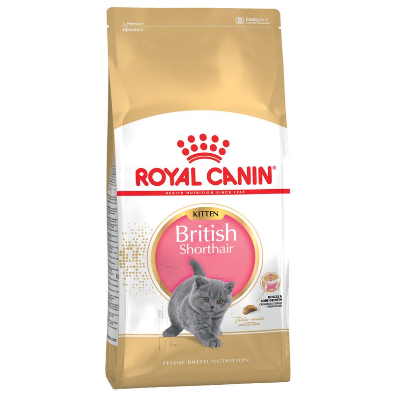 Royal Canin British Shorthair Kitten - храна за котенца порода Британска късокосместа