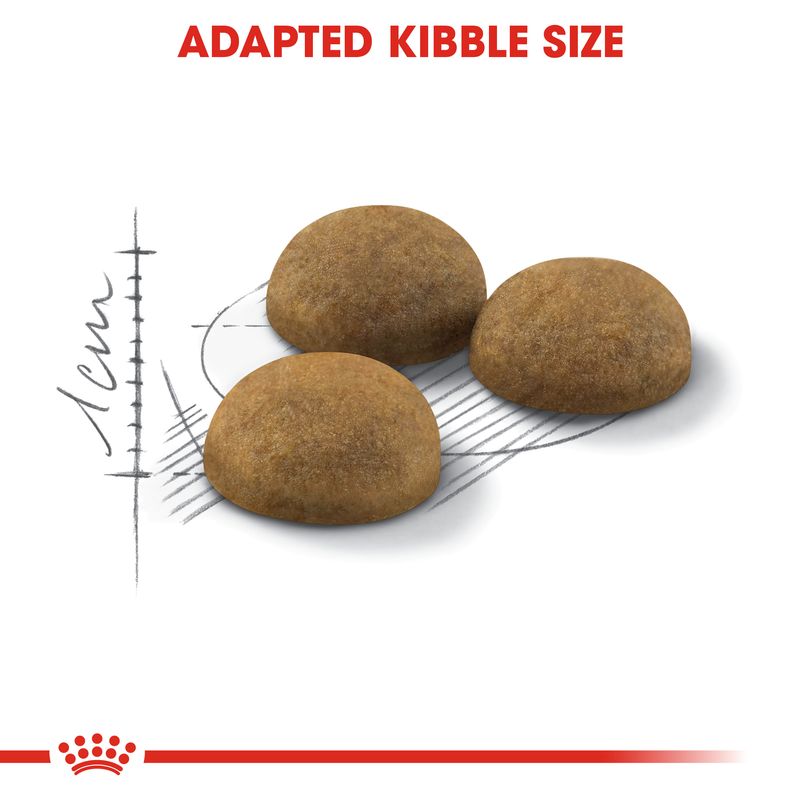 Royal Canin Indoor Long Hair - храна за дългокосмести домашни котки