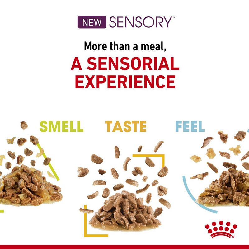 Royal Canin Sensory Taste in Gravy - пауч за котки, стимулиращ вкуса