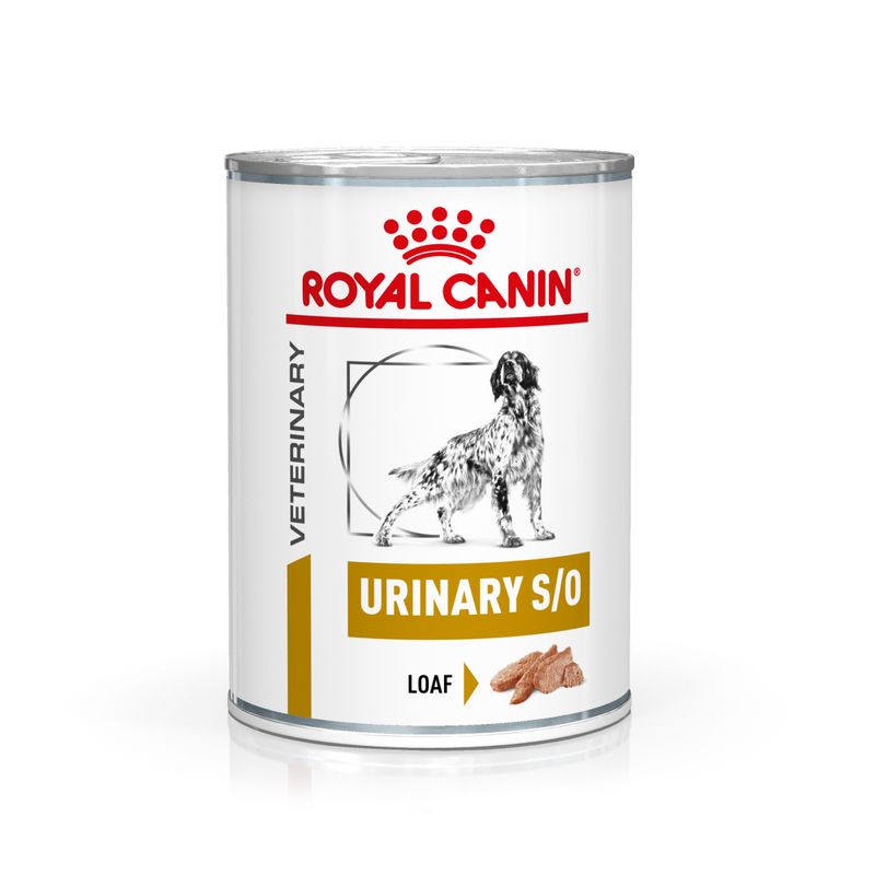 Royal Canin Veterinary Urinary S/O Mousse - консерва за кучета при уринарни проблеми
