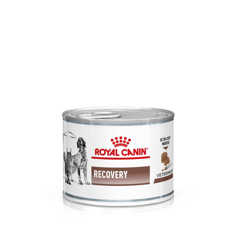 Royal Canin Veterinary Recovery - консерва за кучета и котки за възстановяване след боледуване