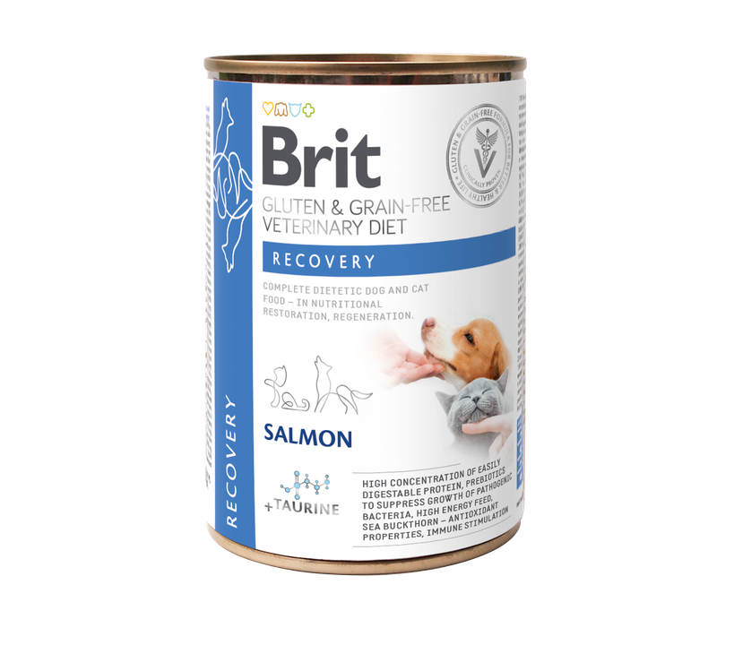 Brit Veterinary Diets Dog + Cat Recovery - консерва за кучета и котки, за периода на възстановяване със сьомга
