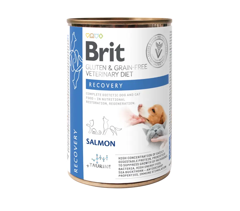 Brit Veterinary Diets Dog + Cat Recovery - консерва за кучета и котки, за периода на възстановяване със сьомга