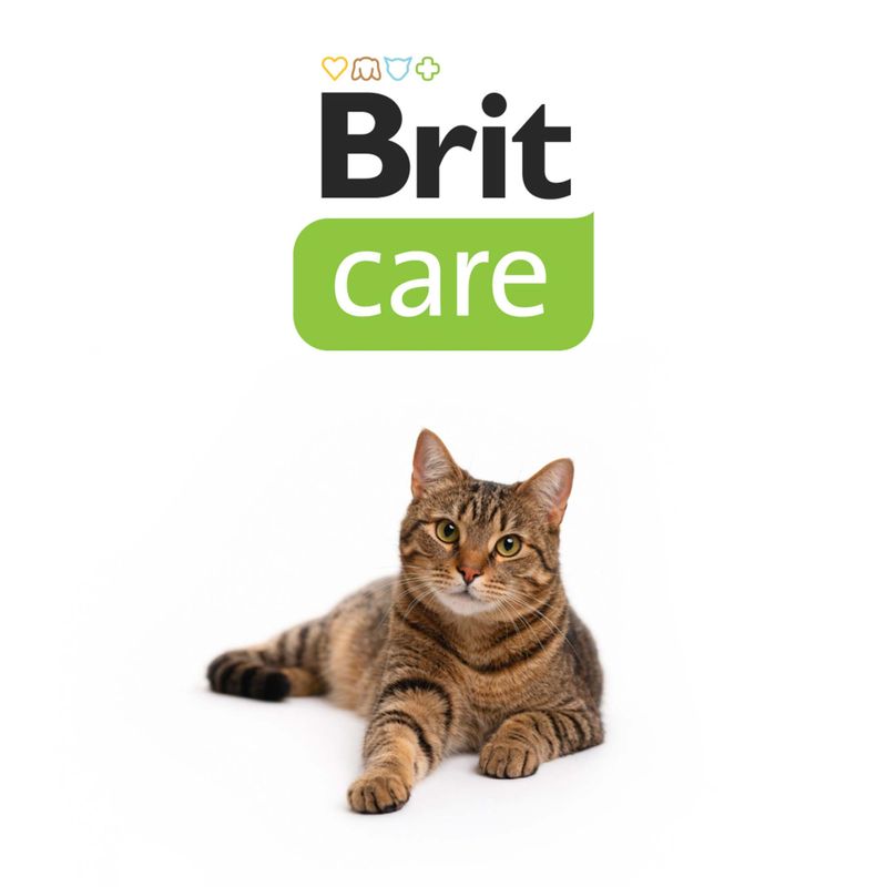 Brit Care Cat Grain-Free Kitten Healthy Growth & Development - храна за котки до 12 месеца и кърмещи котки с пиле, пуйка и коластра