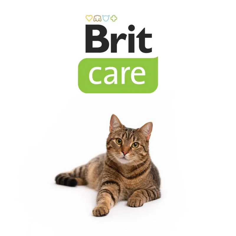 Brit Care Cat Grain-Free Kitten Healthy Growth & Development - храна за котки до 12 месеца и кърмещи котки с пиле, пуйка и коластра