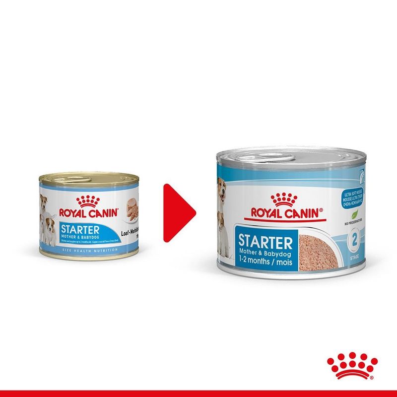 Royal Canin Starter Mousse - мус за бременни и кърмещи кучки и кученца при отбиване