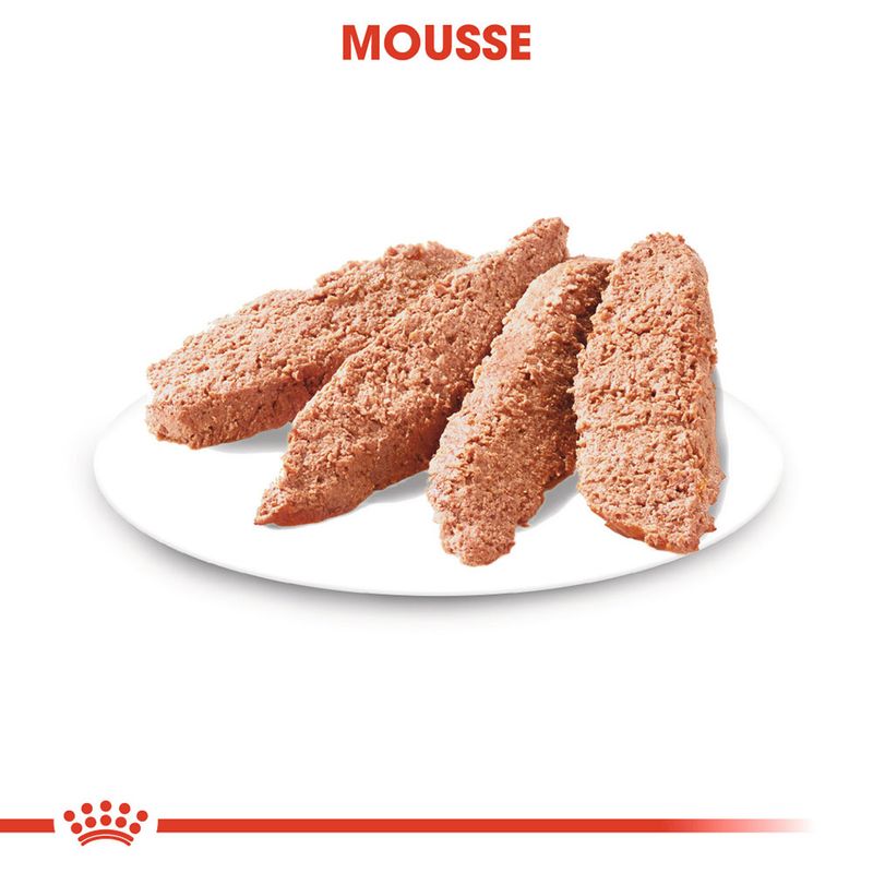 Royal Canin Digestive Care Loaf - пауч за кучета с чувствително храносмилане